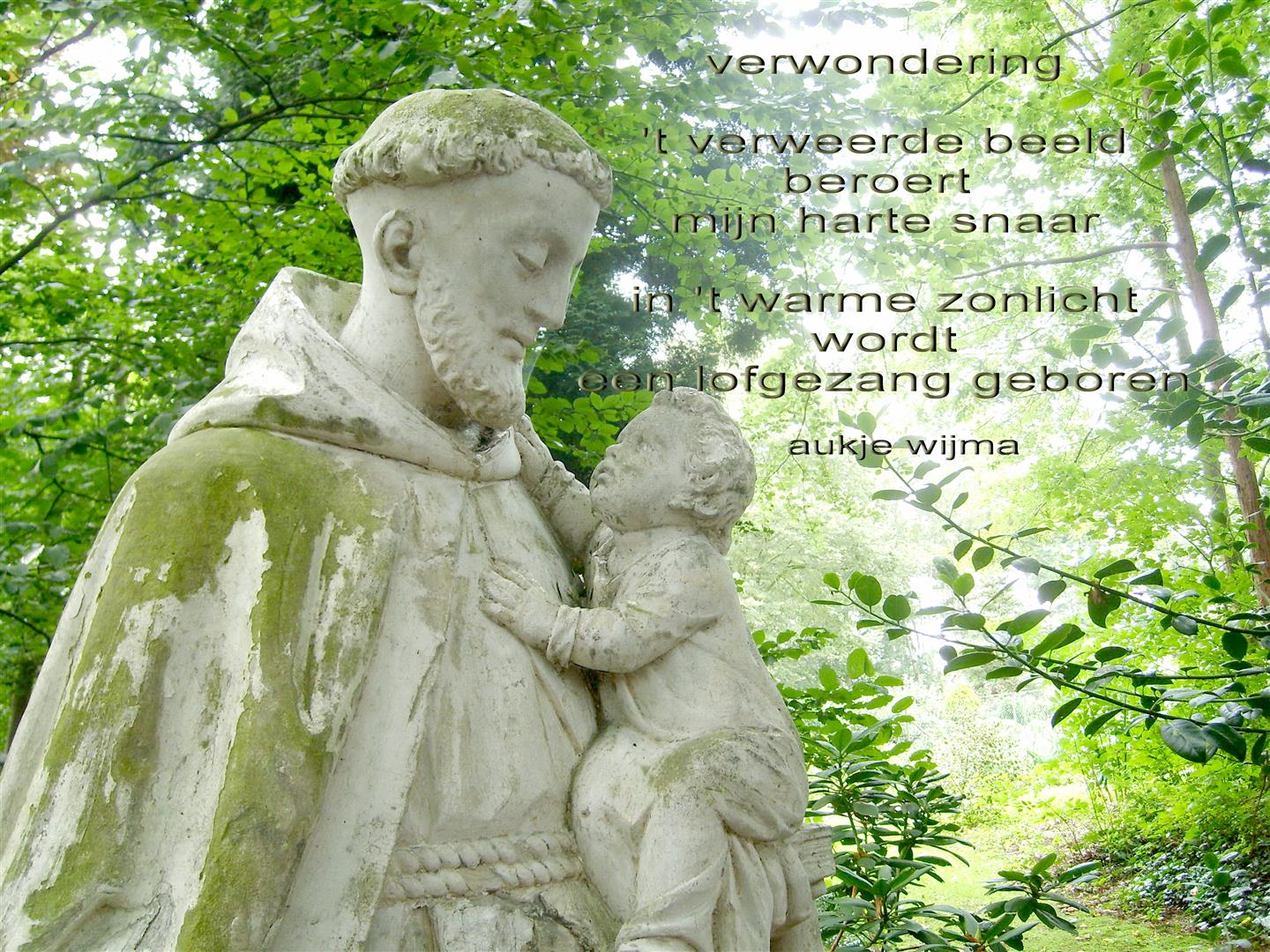 beeld velp tuin met ged