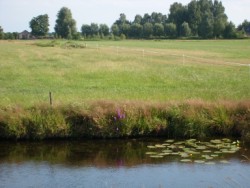 217 fries landschap