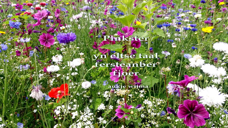 pinkster