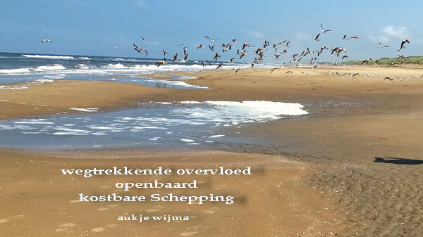 wegtrekkende overvloed