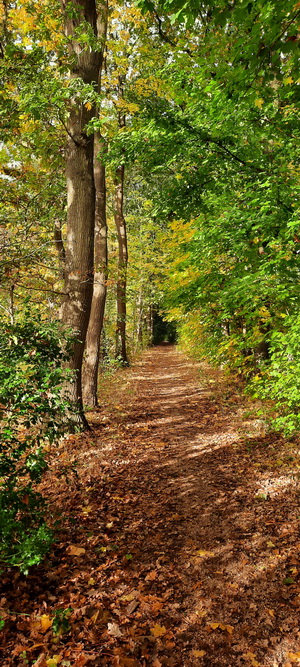 herfst